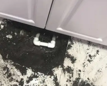 冠县查漏水哪家好